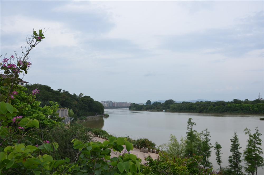 國(guó)務(wù)院：聚焦企業(yè)關(guān)切，進(jìn)一步推動(dòng)優(yōu)化營(yíng)商環(huán)境政策落實(shí)